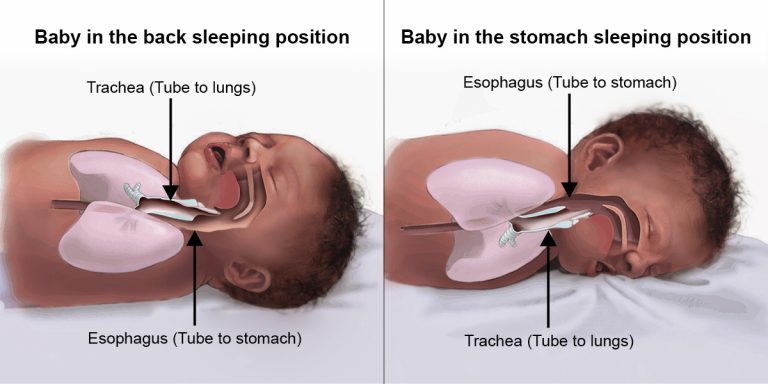 beb-a-dormir-de-barriga-para-cima-porqu-b-mum